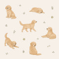 Golden Days Baby Blanket